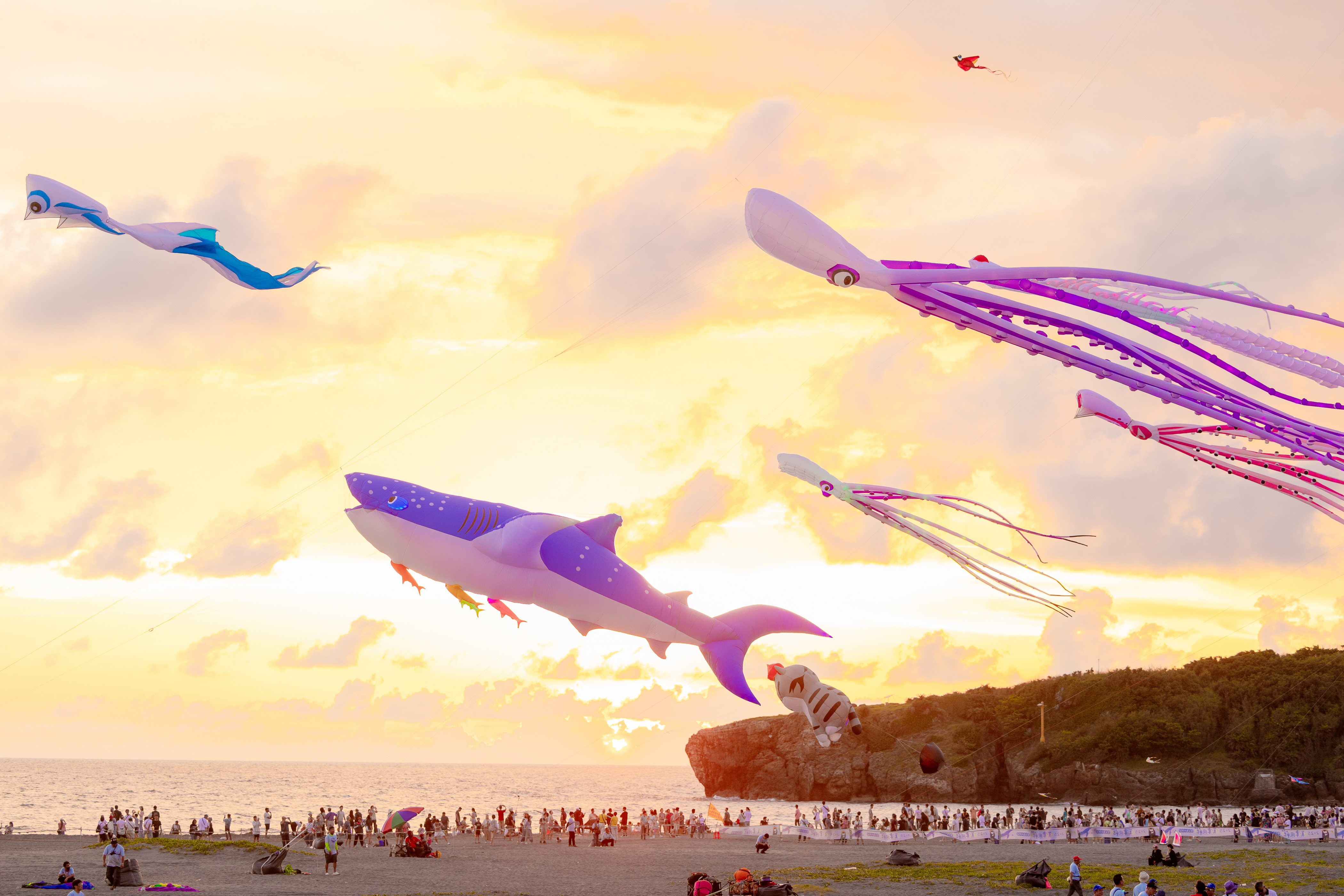 2026 Cijin Kite Festival Whale Kites (6)