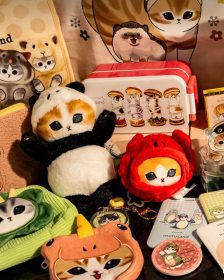 貓福珊迪森林系快閃店登場！R79中山地下書街九大打卡區與限定周邊一次看
