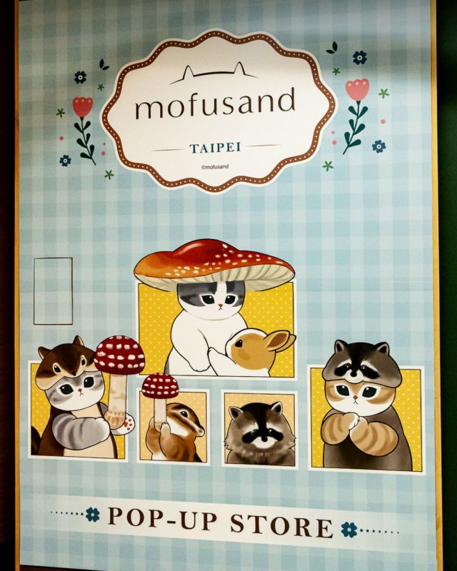 catfusandi forest pop up r79 20265