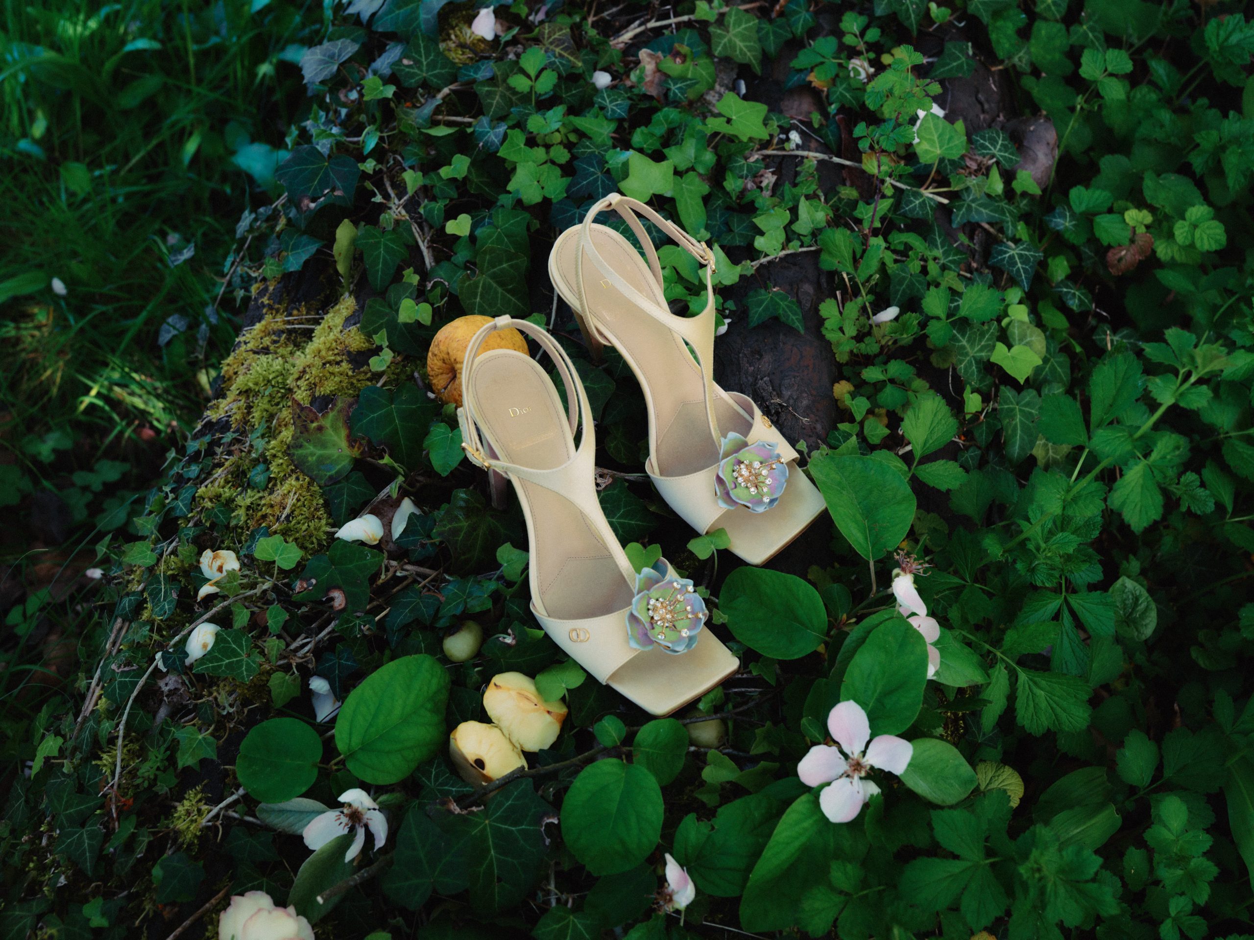 dior 2026 aw water lily collection1 scaled