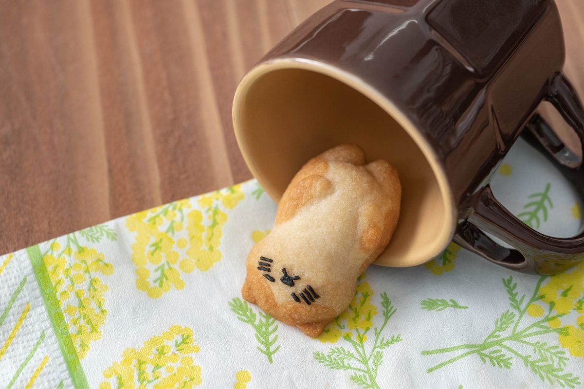 forecipe animal donuts taipei pop up 20263