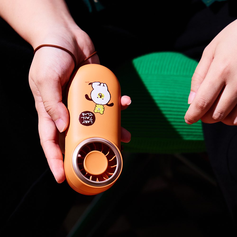 Lazy Tail Club Mini Fan Line Friends (13)