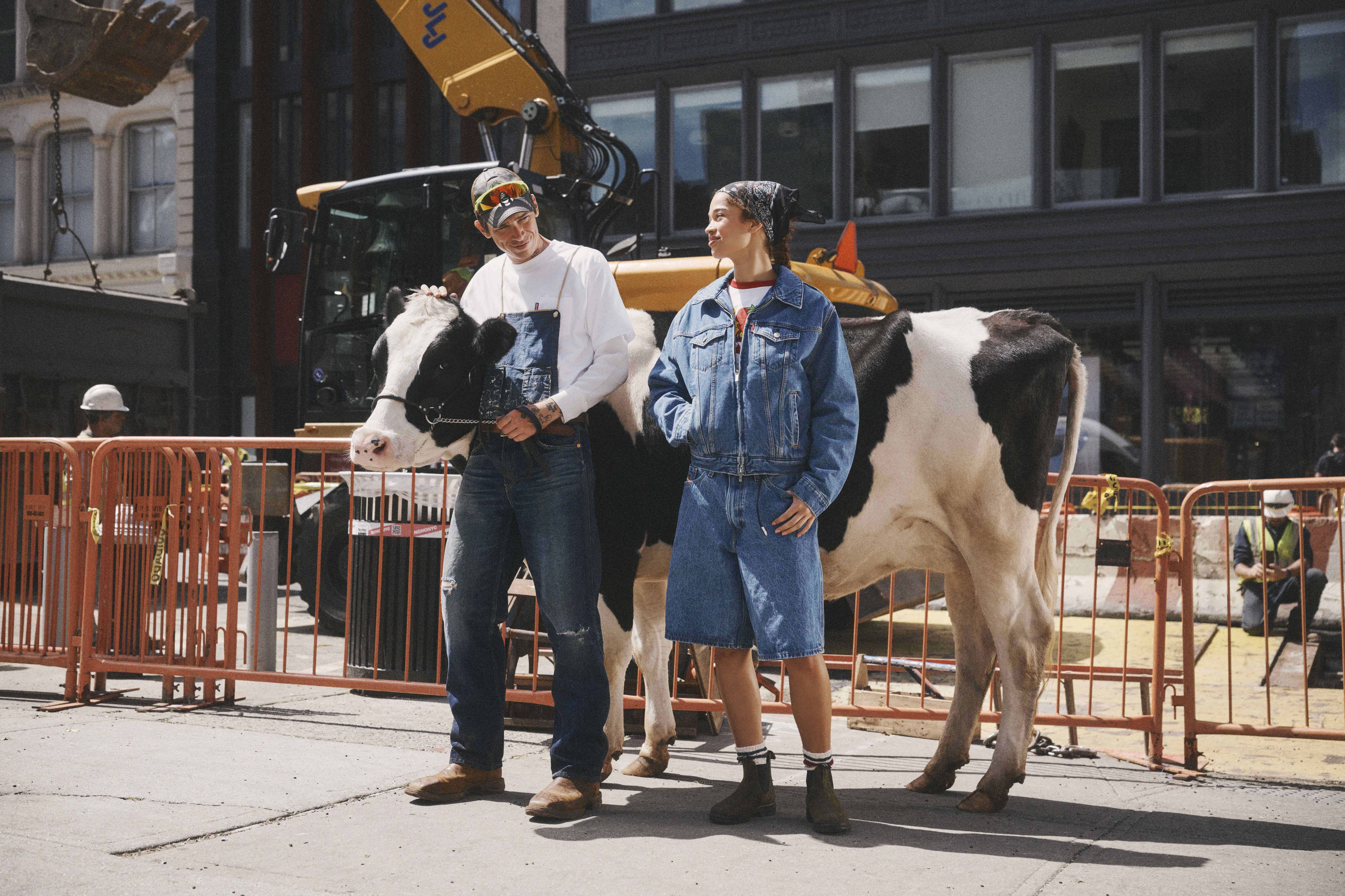 Levis Sky High Farm Goods Denim Collection (1) 1