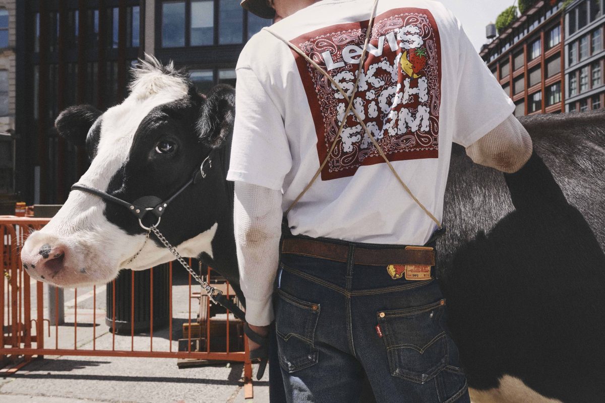 levis sky high farm goods denim collection 7