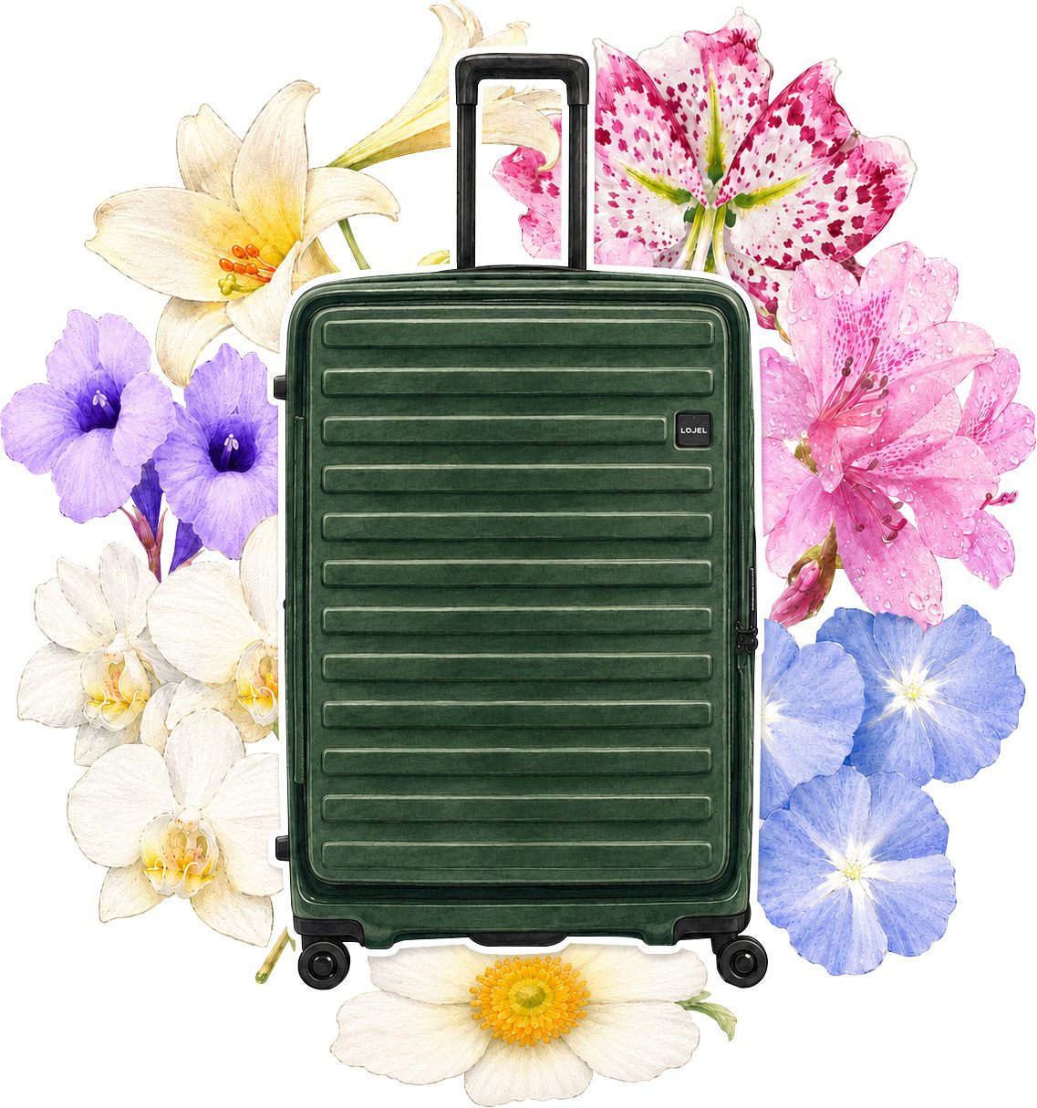Lojel Taiwan Sensibility Cubo Forest Green (16)
