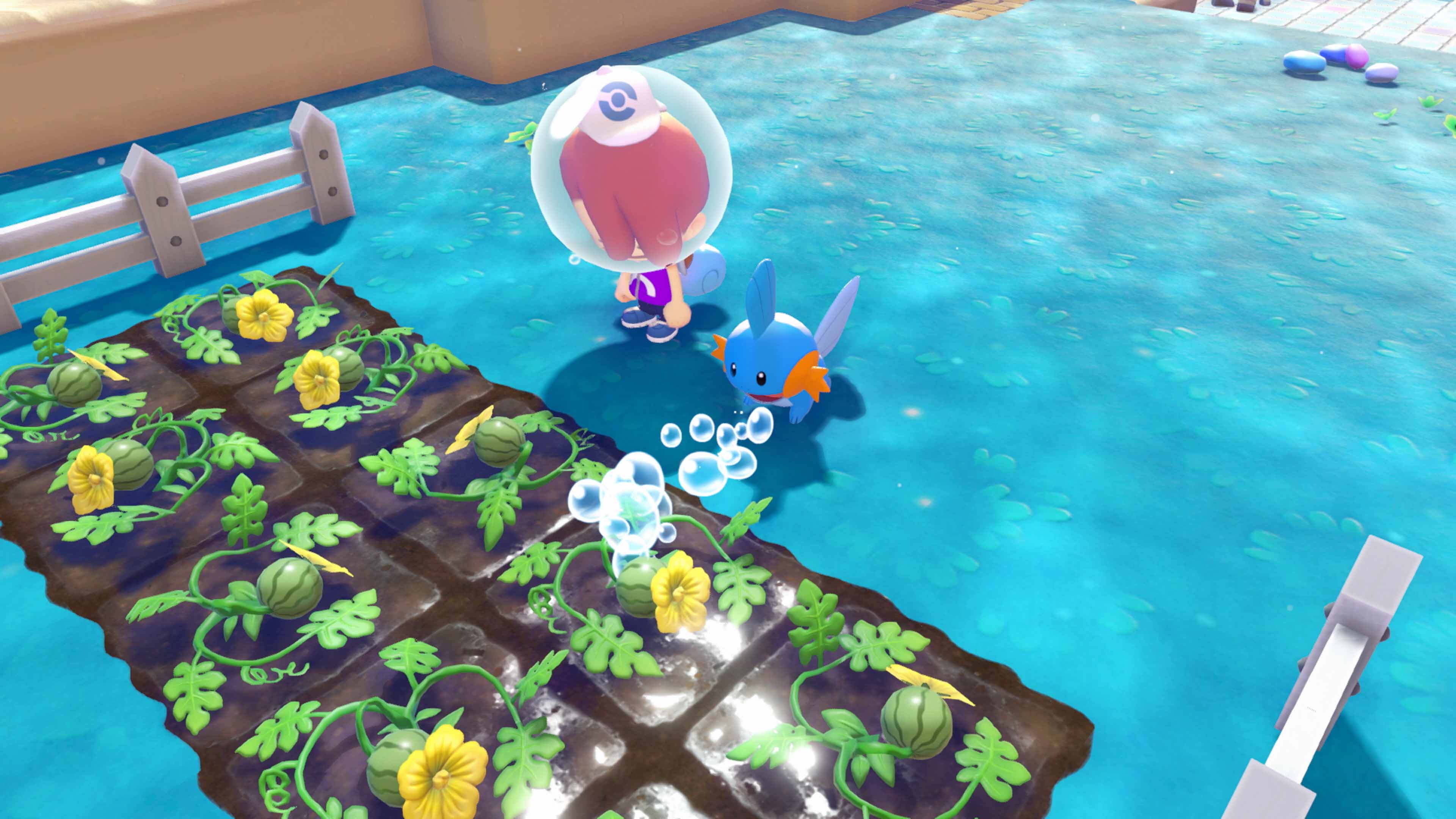 Pokemon Pokopia Expansion Pass Wave1 Update (11)