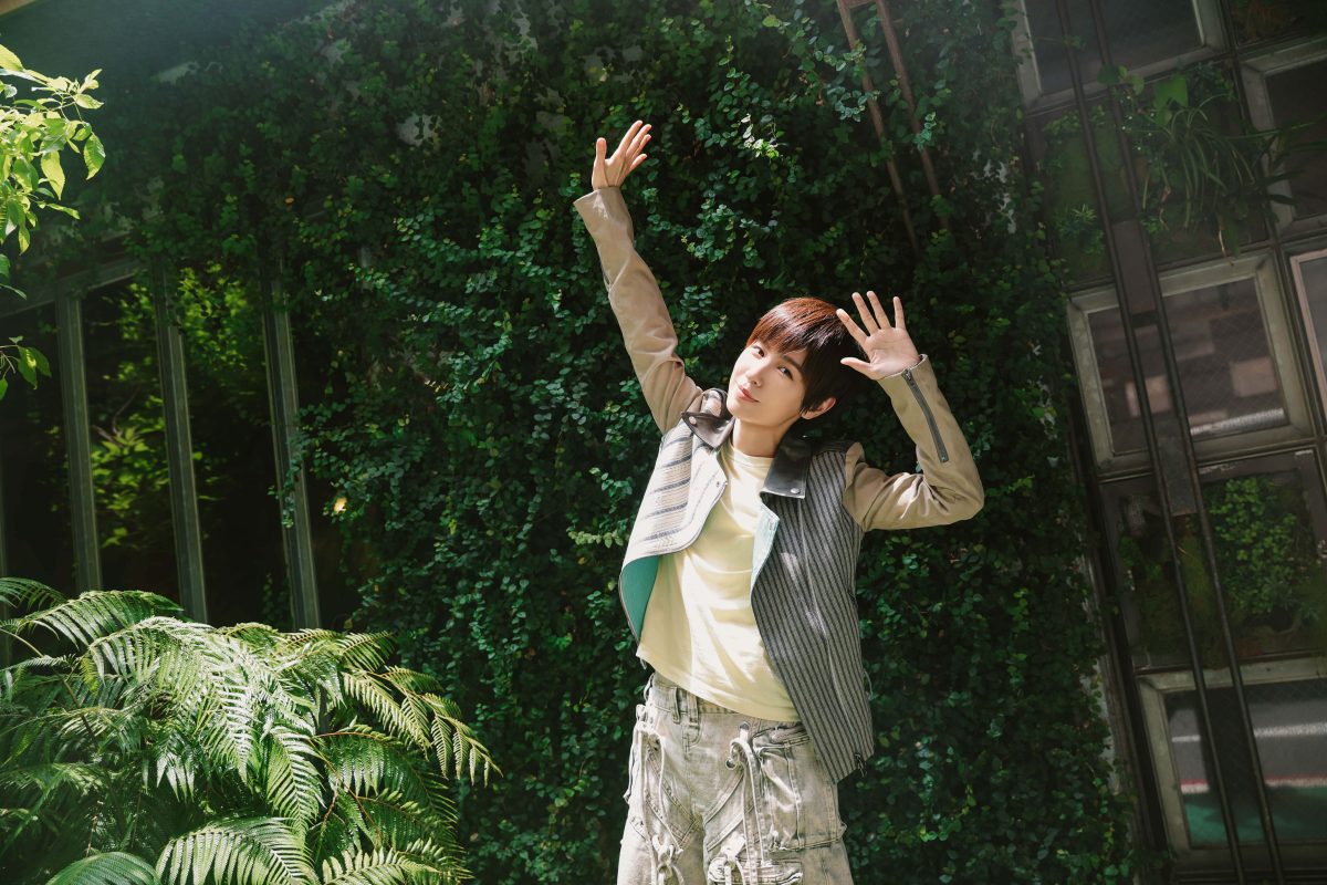 weijiaying play lets play album 6
