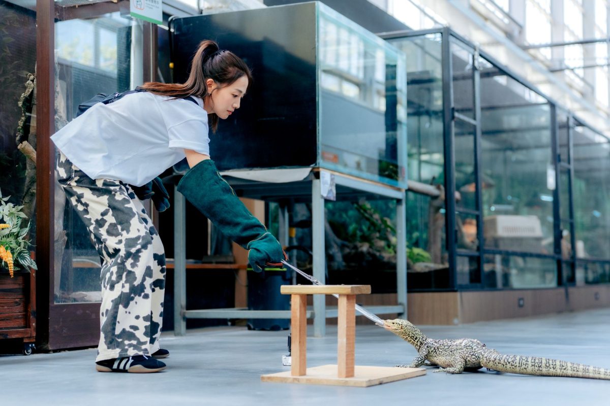 hi business wanpi world zookeeper challenge 4