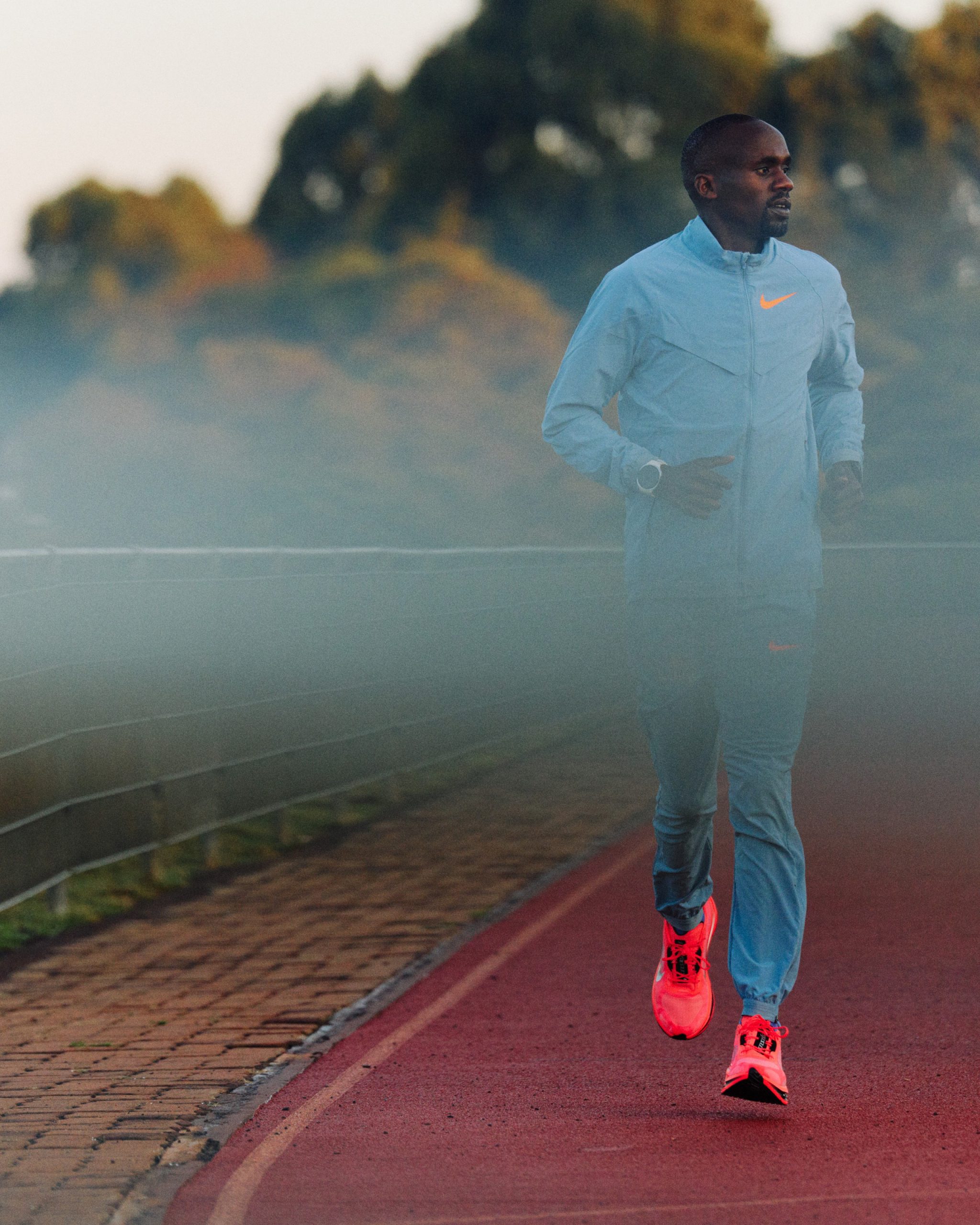 Nike Pegasus Plus 2 Running Shoes (6)