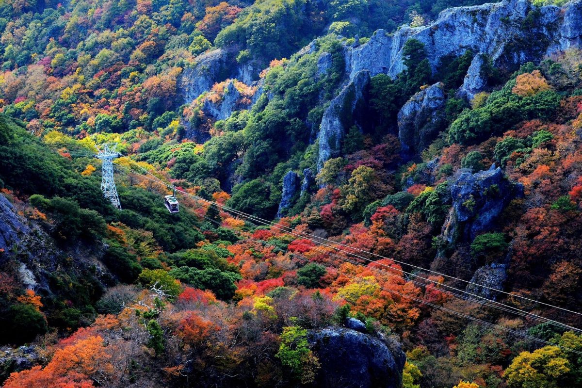 shodoshima autumn slow travel edit x seven4