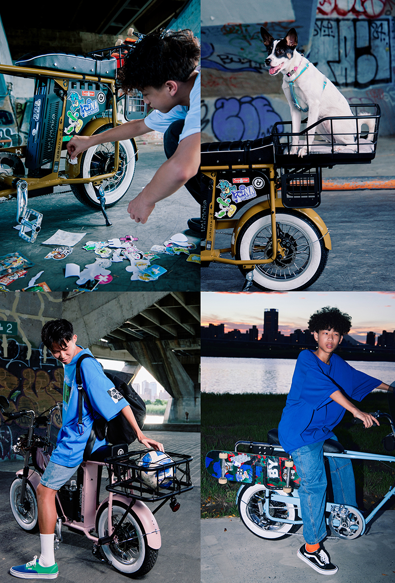 Ud 70 Series Teen Ebike Taiwan (1)