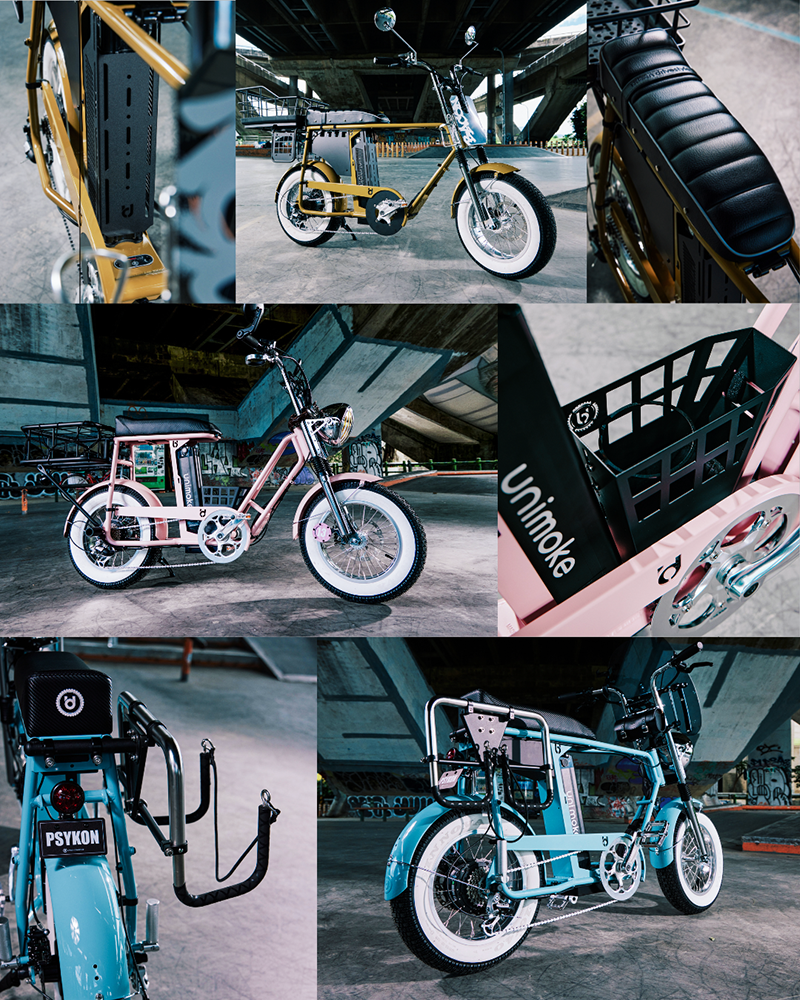 Ud 70 Series Teen Ebike Taiwan (1)