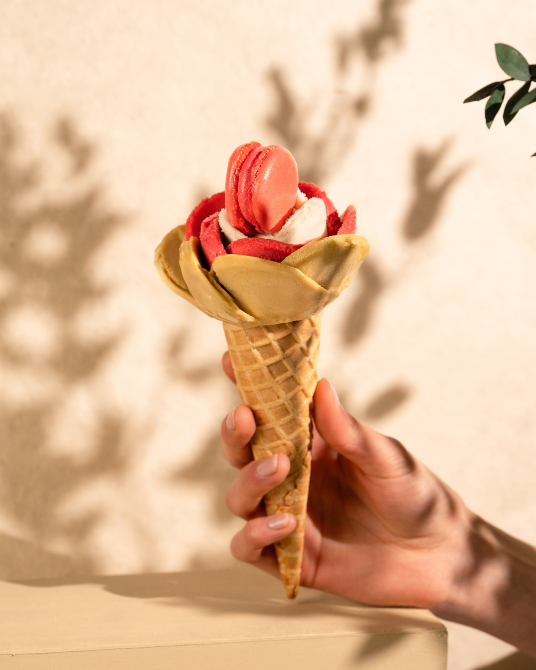 amorino taiwan taipei dome gelato3