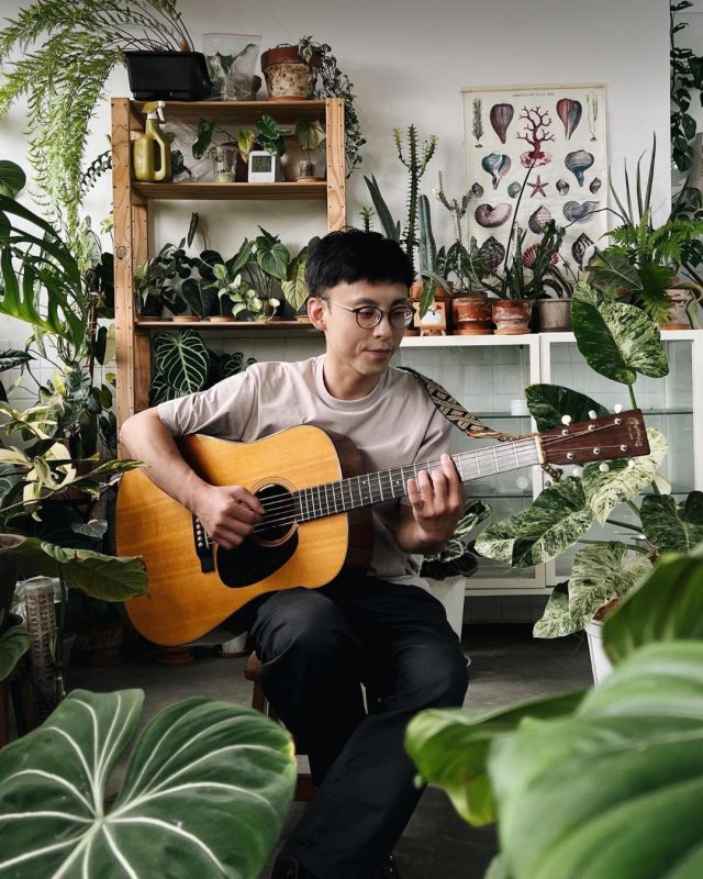 cliff damn tree new single