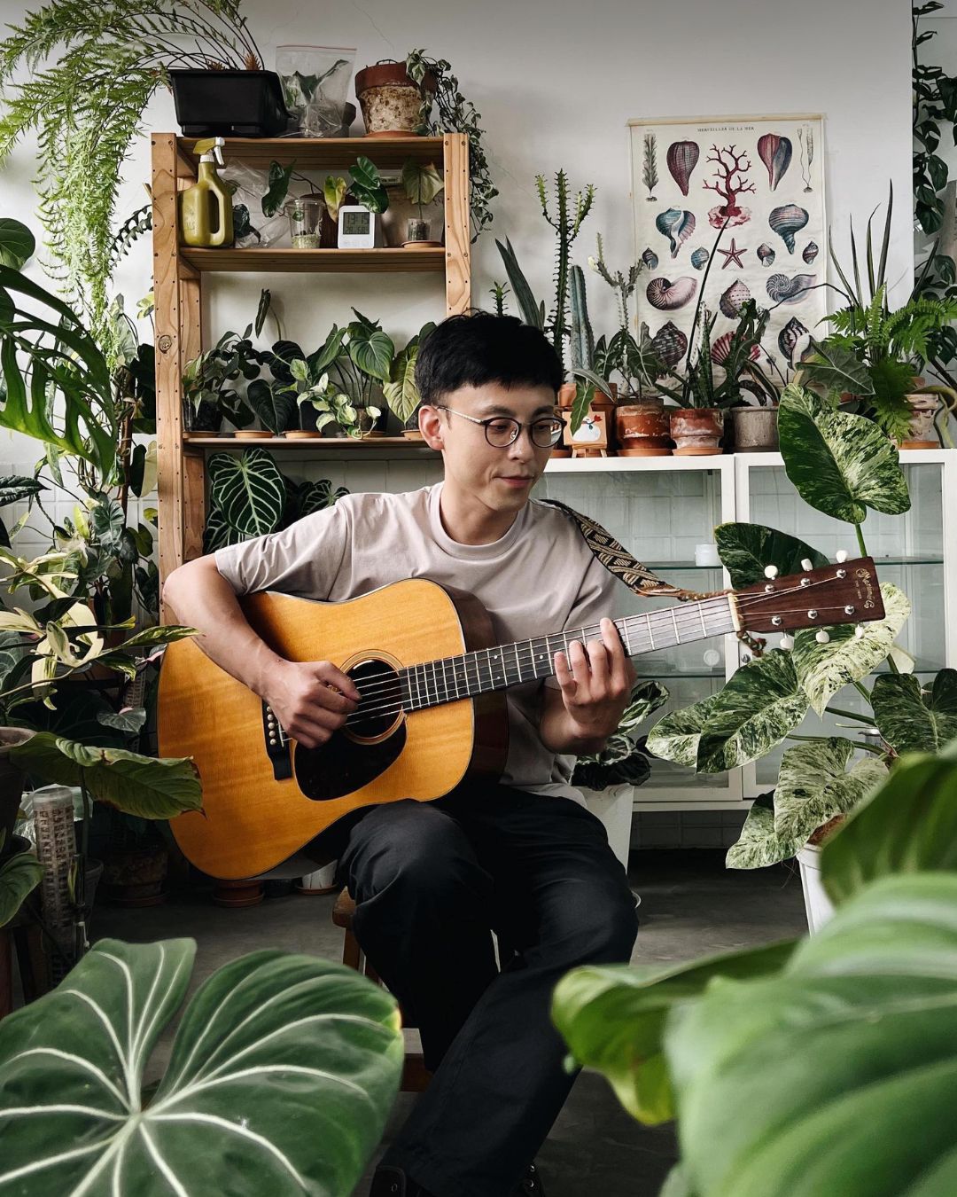 cliff damn tree new single