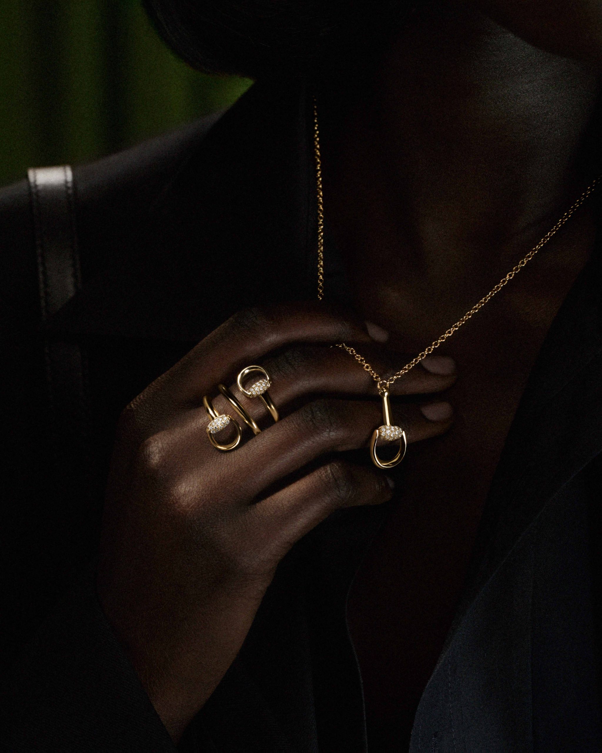 Gucci Horsebit Jewelry Watches Campaign (3)