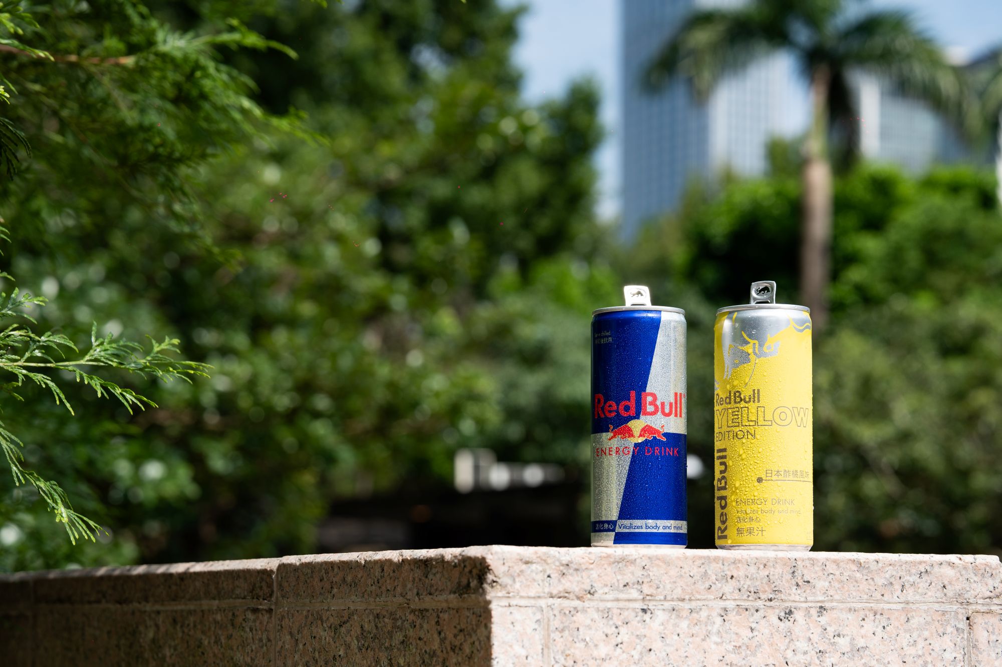 Red Bull Yellow Edition日本酢橘風味上市　全家酷繽球與居酒屋限定同步登場