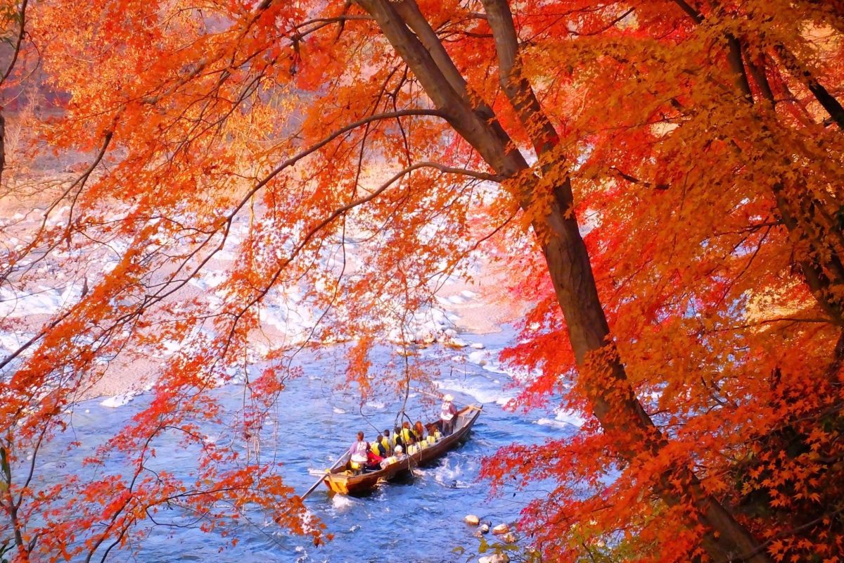 saitama autumn travel spots1
