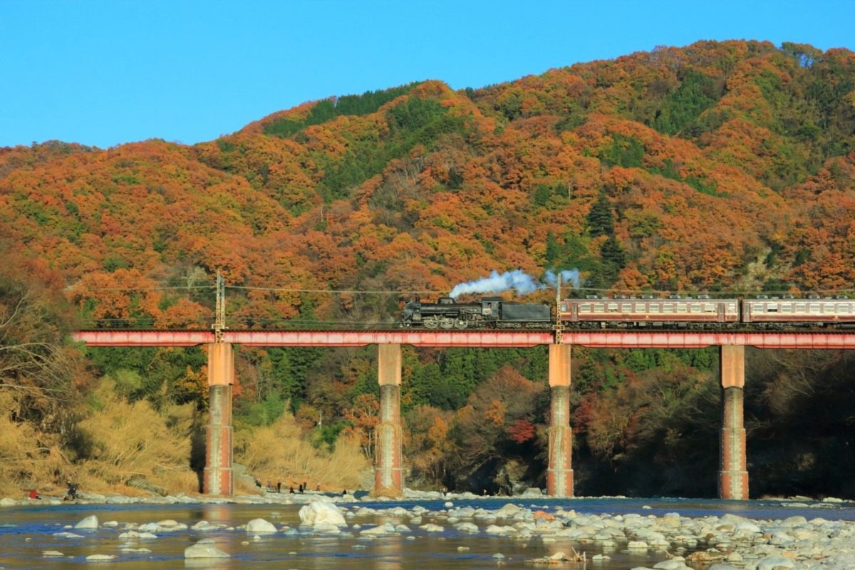 saitama autumn travel spots2