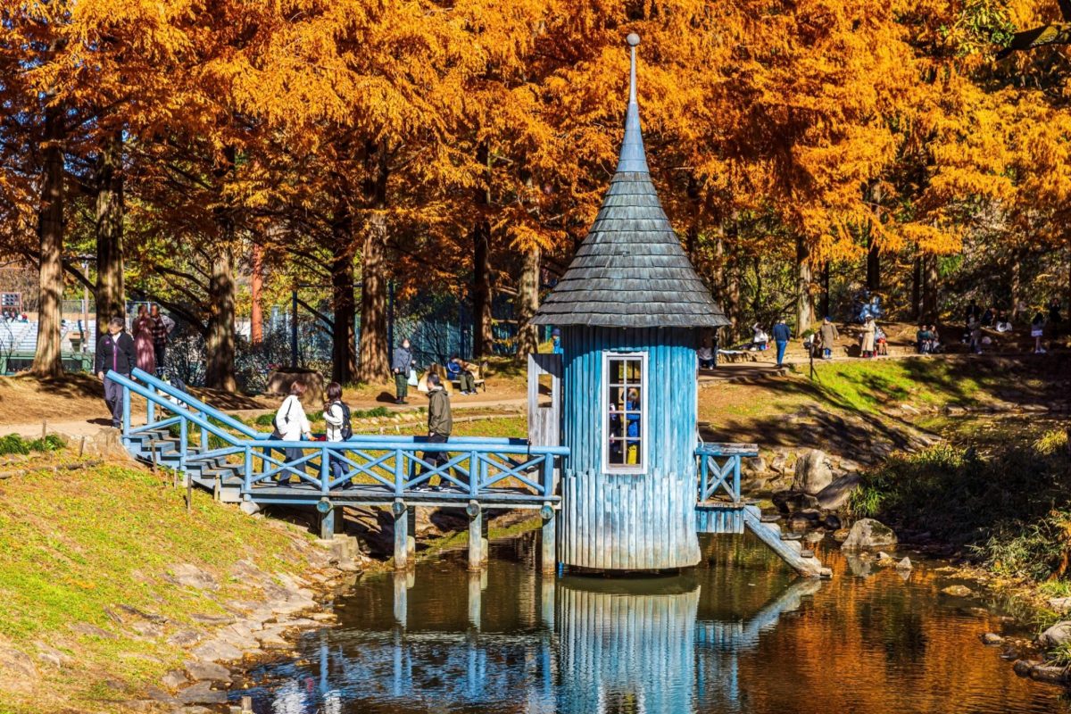 saitama autumn travel spots3
