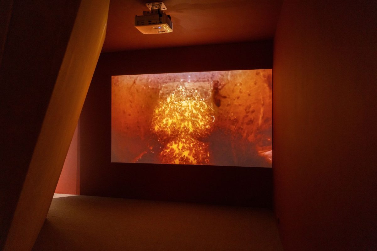 北美館兒藝中心「I Spy Love,發現愛」登場 4位藝術家從心跳與時間探索愛 10 tfam i spy love5